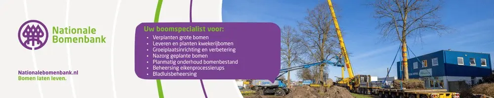 Advertentiebanner NBB