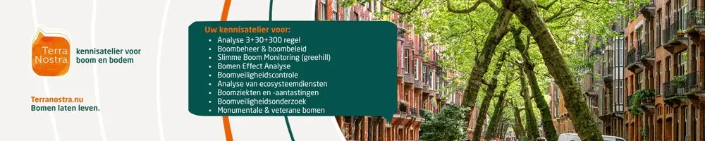 Advertentiebanneer Terra Nostra