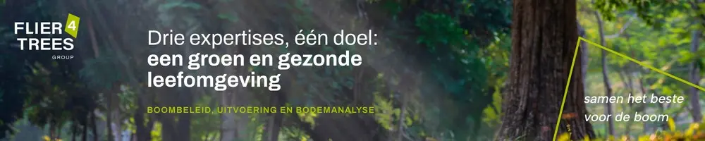 https://www.flier4trees.nl/