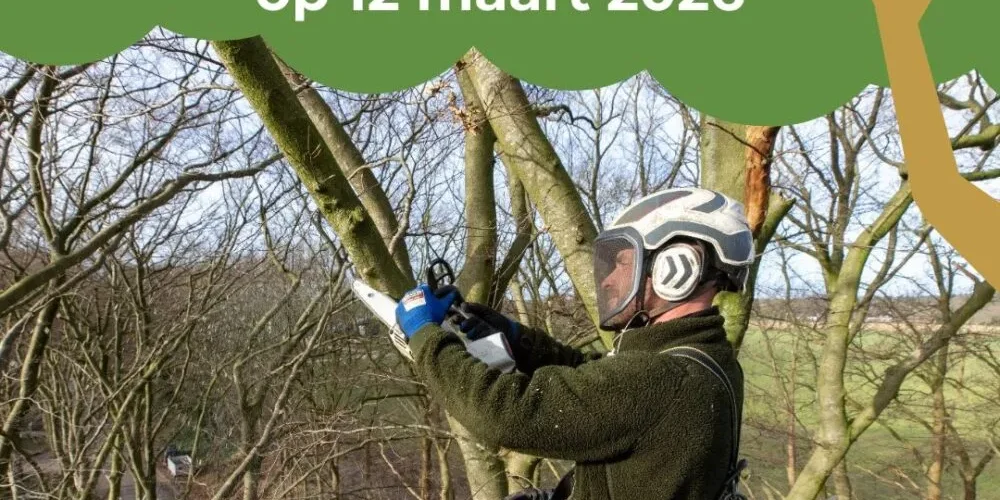 Afbeelding van WhatsApp op 2025-05-19 om 14.51.03_533d583d